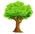 Рисунки для детей дерево: Раскраски Деревья для детей 3-10 лет. Разные виды  деревьев. —